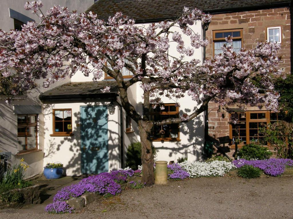 Lea House Bed And Breakfast Ross-on-Wye Exterior photo